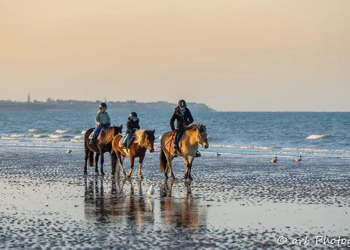 La Coquille En Duo Confort Maisonnette De Bourg à - Situation Idéale Commerces&plage - Wifi Et Linge Inclus * Ouistreham